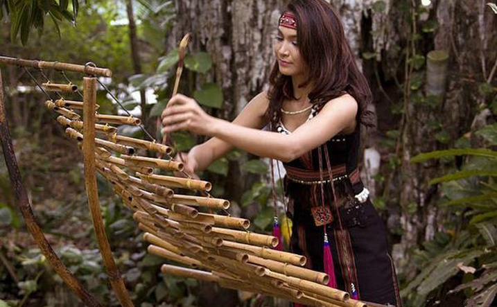 越南少数民族的一种奇葩乐器特龙琴