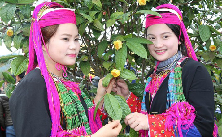 以"艳丽的小黄花茶"为主题的2018年第二届小黄花茶节将于2018年1月5日